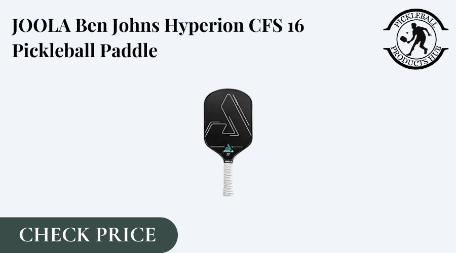 Pickleball paddles for beginners 2025