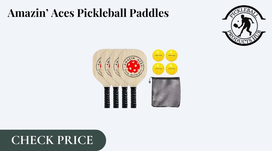 best beginner pickleball paddle