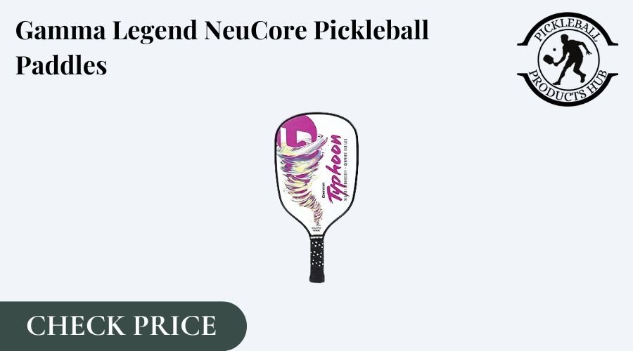 Top pickleball paddle