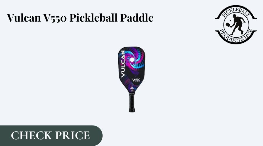 Pickleball Paddles With Long Handles